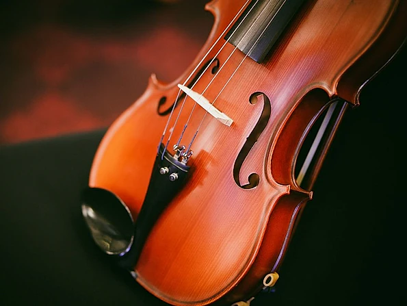 detalle recorte violin